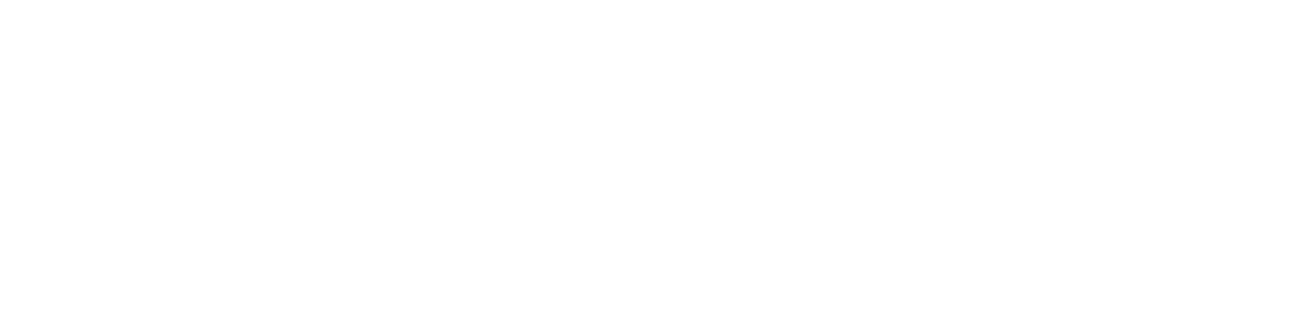 Feenics Logo