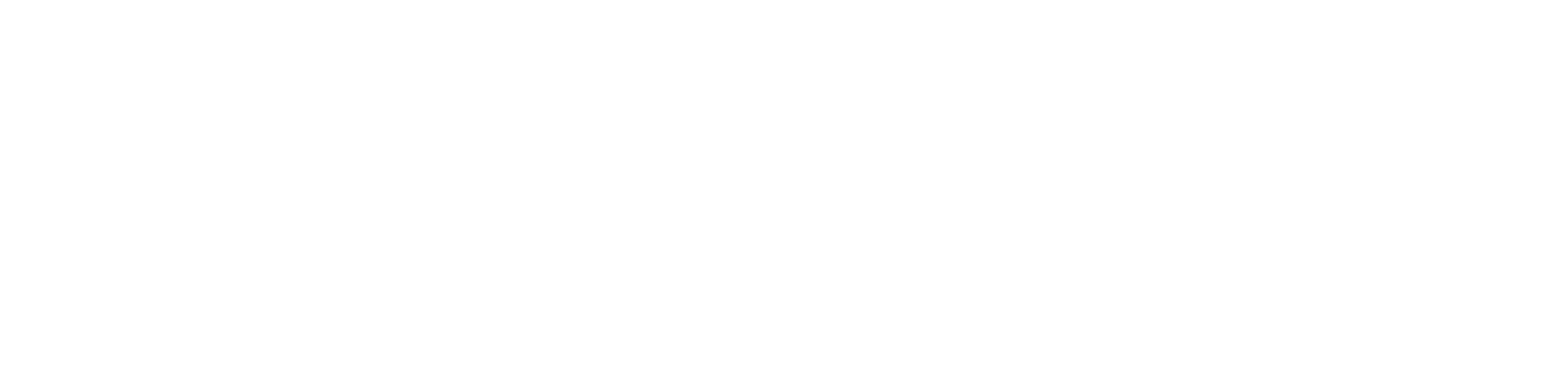 Shooter Setection Systems Logo